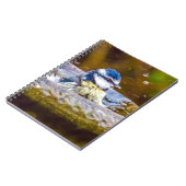 Ein blauer Tit im Birdbath Notizblock (Linke Seite)