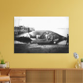 Ein Blauwal in Alaska-Fotografie schneiden Leinwanddruck (Insitu (Wohnzimmer))