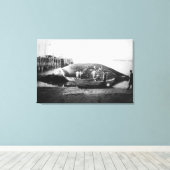 Ein Blauwal in Alaska-Fotografie schneiden Leinwanddruck (Insitu (Holzboden))