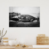 Ein Blauwal in Alaska-Fotografie schneiden Poster (Küche)