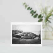 Ein Blauwal in Alaska-Fotografie schneiden Postkarte (Stehend Vorderseite)