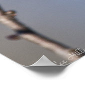 Ein Blick auf das Poster des Roten Kardinals (Ecke)