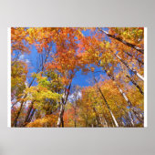 Ein Blick auf den Fall Poster (Vorne)