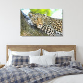 Ein Blick auf den Leopard Leinwanddruck (Insitu (Schlafzimmer))