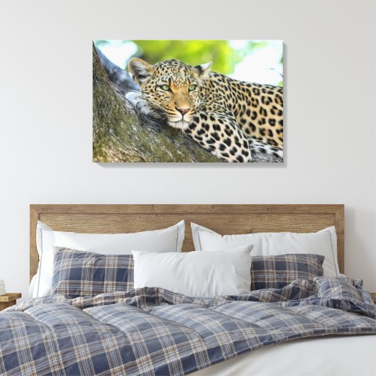 Ein Blick auf den Leopard Leinwanddruck (Insitu (Schlafzimmer))