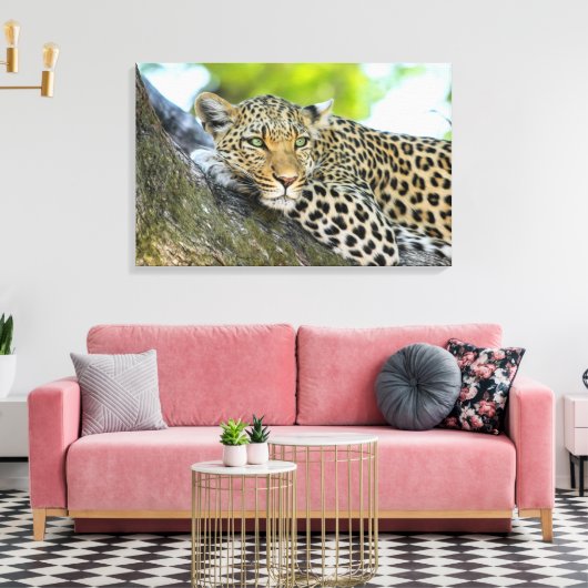 Ein Blick auf den Leopard Leinwanddruck (Insitu (Wohnzimmer))