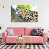 Ein Blick auf den Leopard Leinwanddruck (Insitu (Wohnzimmer))