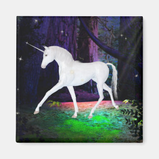 Ein Blick auf ein Einhorn - Fantasiemagnet Magnet