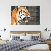 Ein Blick auf einen Tiger Leinwanddruck (Insitu (Schlafzimmer))