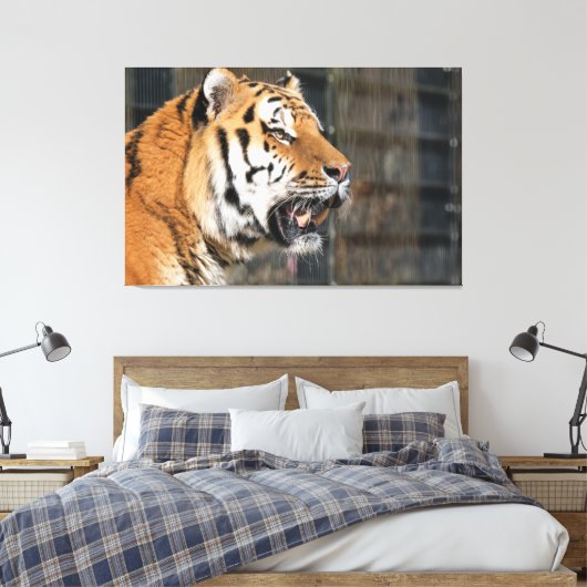 Ein Blick auf einen Tiger Leinwanddruck (Insitu (Schlafzimmer))