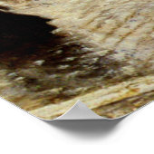 Ein Blick auf Kongens Nytorv, Kopenhagen Poster (Ecke)