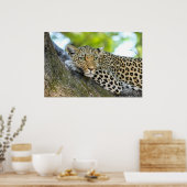 Ein Blick aus Leopard - Druck schließen Poster (Küche)