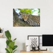 Ein Blick aus Leopard - Druck schließen Poster (Heimbüro)