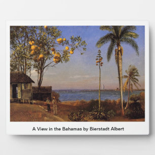 Ein Blick in die Bahamas von Bierstadt Albert Fotoplatte