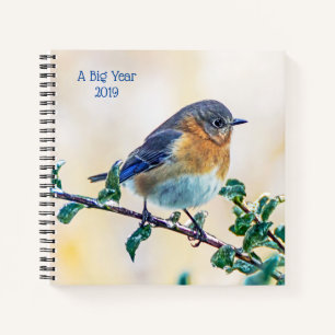 Ein Bluebird-Spiral-Notebook mit großer Vogelbeoba Notizblock