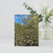 Ein blühender Valentinstag! Postkarte (Stehend Vorderseite)