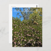 Ein blühender Valentinstag! Postkarte (Vorne/Hinten)