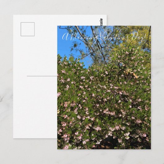 Ein blühender Valentinstag! Postkarte (Vorne/Hinten)