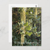 Ein blühender Valentinstag! Postkarte (Vorne/Hinten)