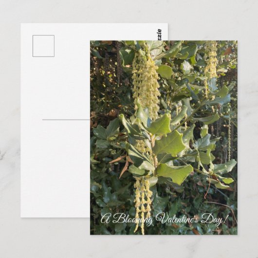 Ein blühender Valentinstag! Postkarte (Vorne/Hinten)