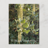 Ein blühender Valentinstag! Postkarte (Vorderseite)