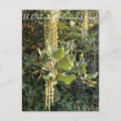 Ein blühender Valentinstag! Postkarte (Vorderseite)