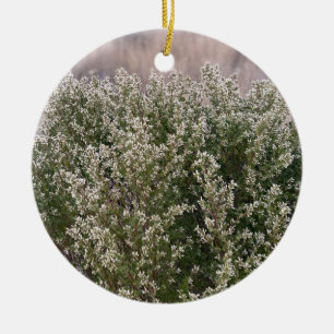 Ein blühendes Kalifornien: Coyote Bush Keramik Ornament