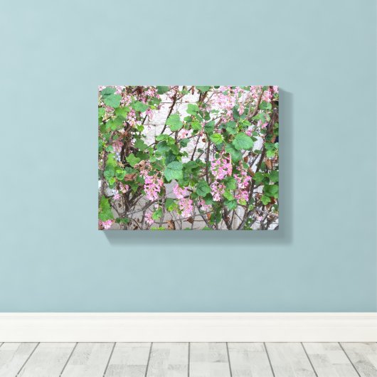 Ein blühendes Kalifornien: Der Frühling in Rosa Leinwanddruck (Insitu (Holzboden))