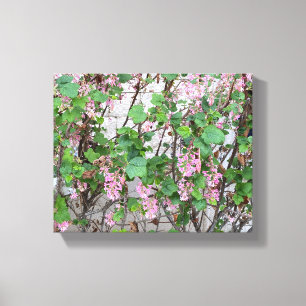 Ein blühendes Kalifornien: Der Frühling in Rosa Leinwanddruck