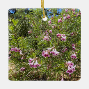 Ein blühendes Kalifornien: Desert Willow Keramikornament