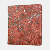 Ein blühendes Kalifornien: Die heilige Catherine's Keramikornament (Links)