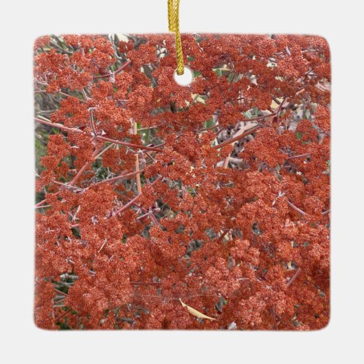 Ein blühendes Kalifornien: Die heilige Catherine's Keramikornament (Vorderseite)