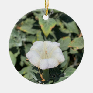 Ein blühendes Kalifornien: Heiliger Datura Keramik Ornament
