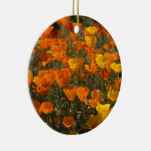 Ein blühendes Kalifornien: Pfeffer Keramik Ornament (Rechts)