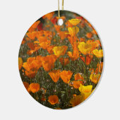 Ein blühendes Kalifornien: Pfeffer Keramik Ornament (Links)