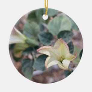 Ein blühendes Kalifornien: Sacred Datura Keramik O Ornament