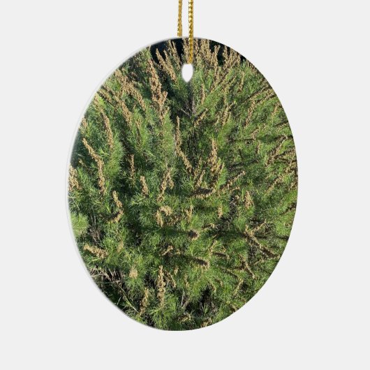 Ein blühendes Kalifornien: Sagebrush Keramik Ornam Keramik Ornament (Rechts)