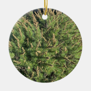 Ein blühendes Kalifornien: Sagebrush Keramik Ornam Keramik Ornament