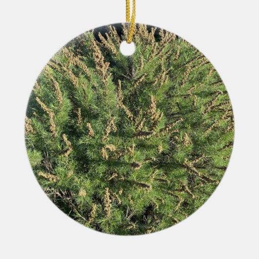 Ein blühendes Kalifornien: Sagebrush Keramik Ornam Keramik Ornament (Vorne)
