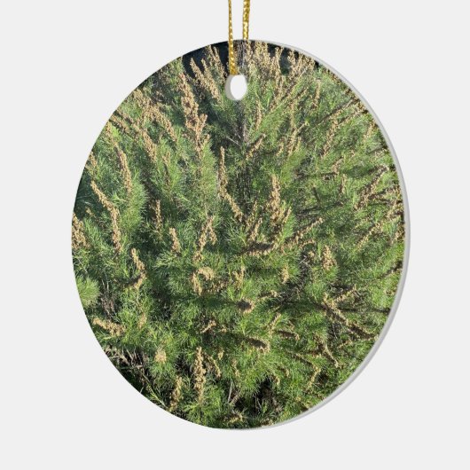 Ein blühendes Kalifornien: Sagebrush Keramik Ornam Keramik Ornament (Links)