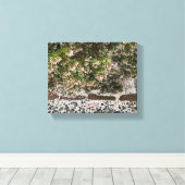 Ein blühendes Kalifornien: Schnee von Manzaniten Leinwanddruck (Insitu (Holzboden))