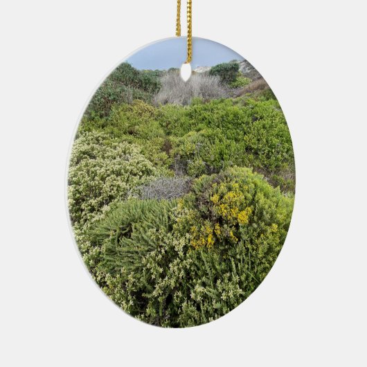 Ein blühendes Kalifornien: Sea Cliff Buckweizen Keramik Ornament (Rechts)