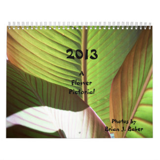 Ein Blumen-Illustriertes Kalender