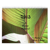 Ein Blumen-Illustriertes Kalender (Titelbild)