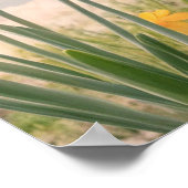 Ein Blumenhintergrund im Frühling Poster (Ecke)