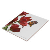 ein Blumenstrauß der roten Tulpen wird von einem Fliese (Seite)