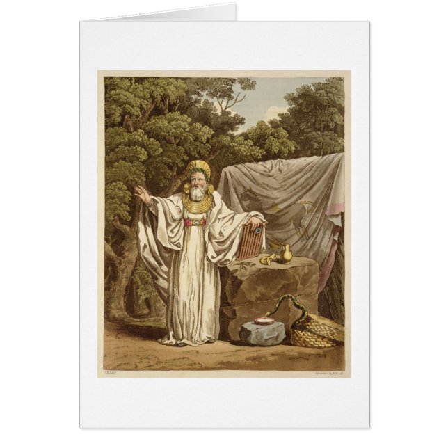 Ein Bogen-Druide in seiner Gerichtsgewohnheit, (Vorne)