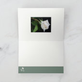 Ein Bogen zum Morgen Karte (Innenseite)