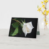 Ein Bogen zum Morgen Karte (Gelbe Blume)