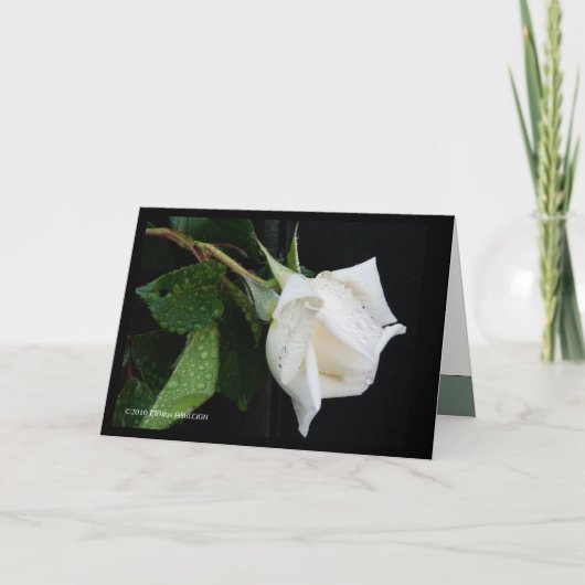 Ein Bogen zum Morgen Karte (Vorderseite)